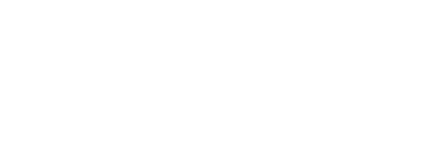 Canadian Partnership Against Cancer logo